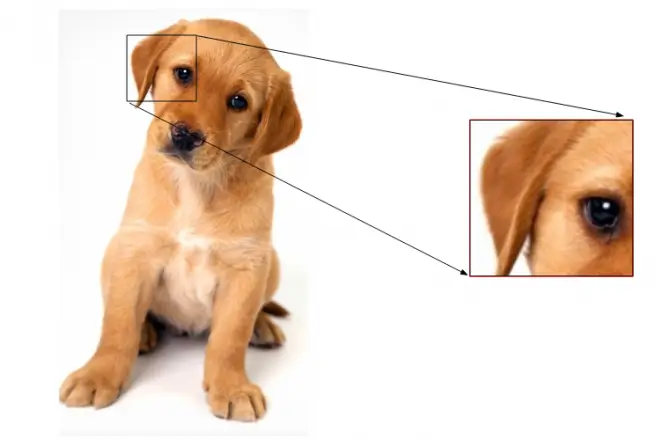Calculating Gradients (direction x and y)