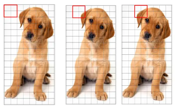 Normalize gradients in 16×16 cell (36×1)