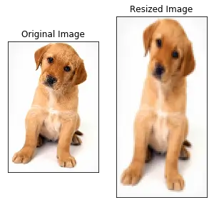 Preprocess the Data (64 x 128)